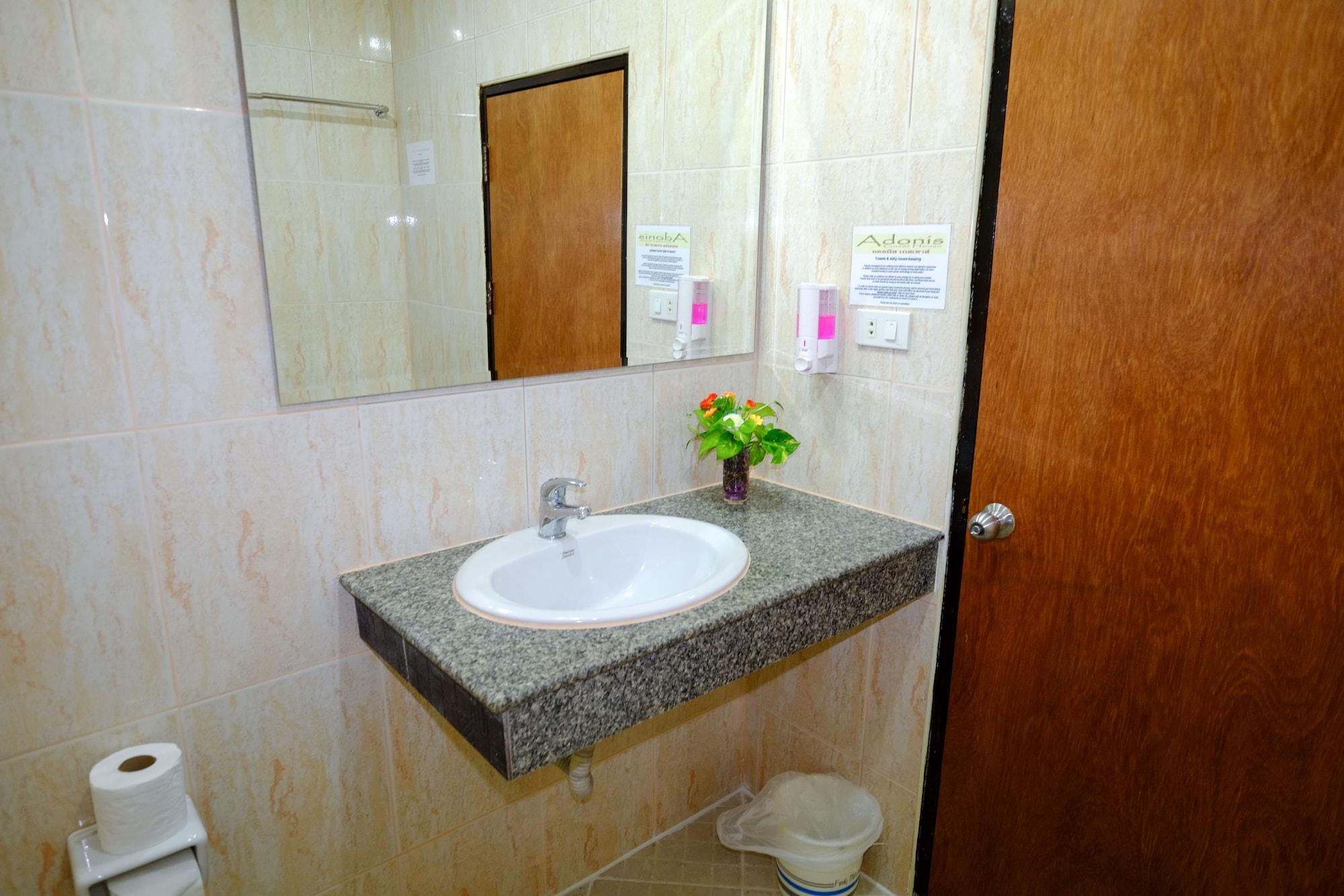 Adonis Guest house 2*